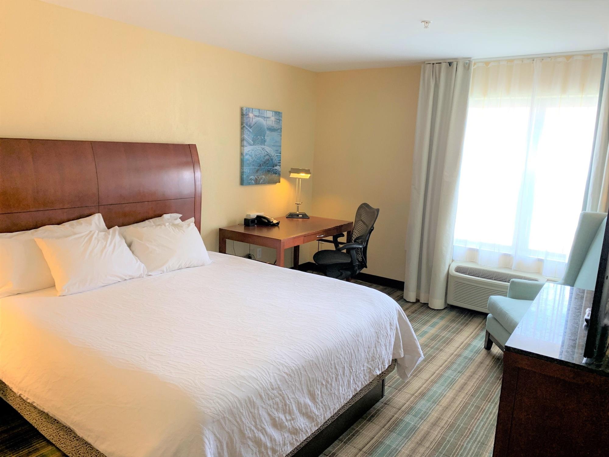 Hilton Garden Inn Albany Medical Center Exteriér fotografie